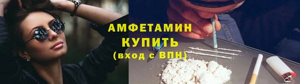 твердый Алексеевка