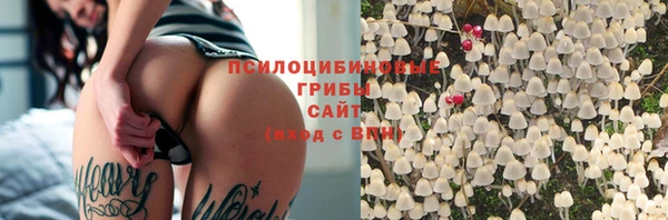 дурь Майский