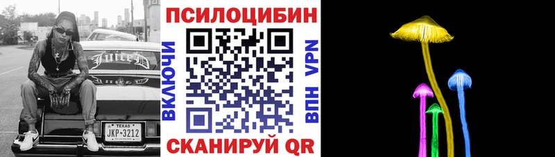 Псилоцибиновые грибы мицелий  как найти   Агрыз 